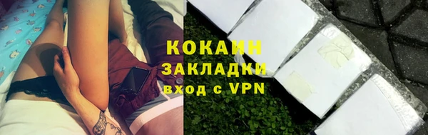 дживик Богородицк