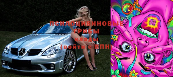 дживик Богородицк